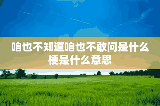 咱也不知道咱也不敢问是什么梗是什么意思